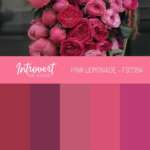 colour palette for a bunch of roses