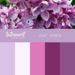 lilac colour palette