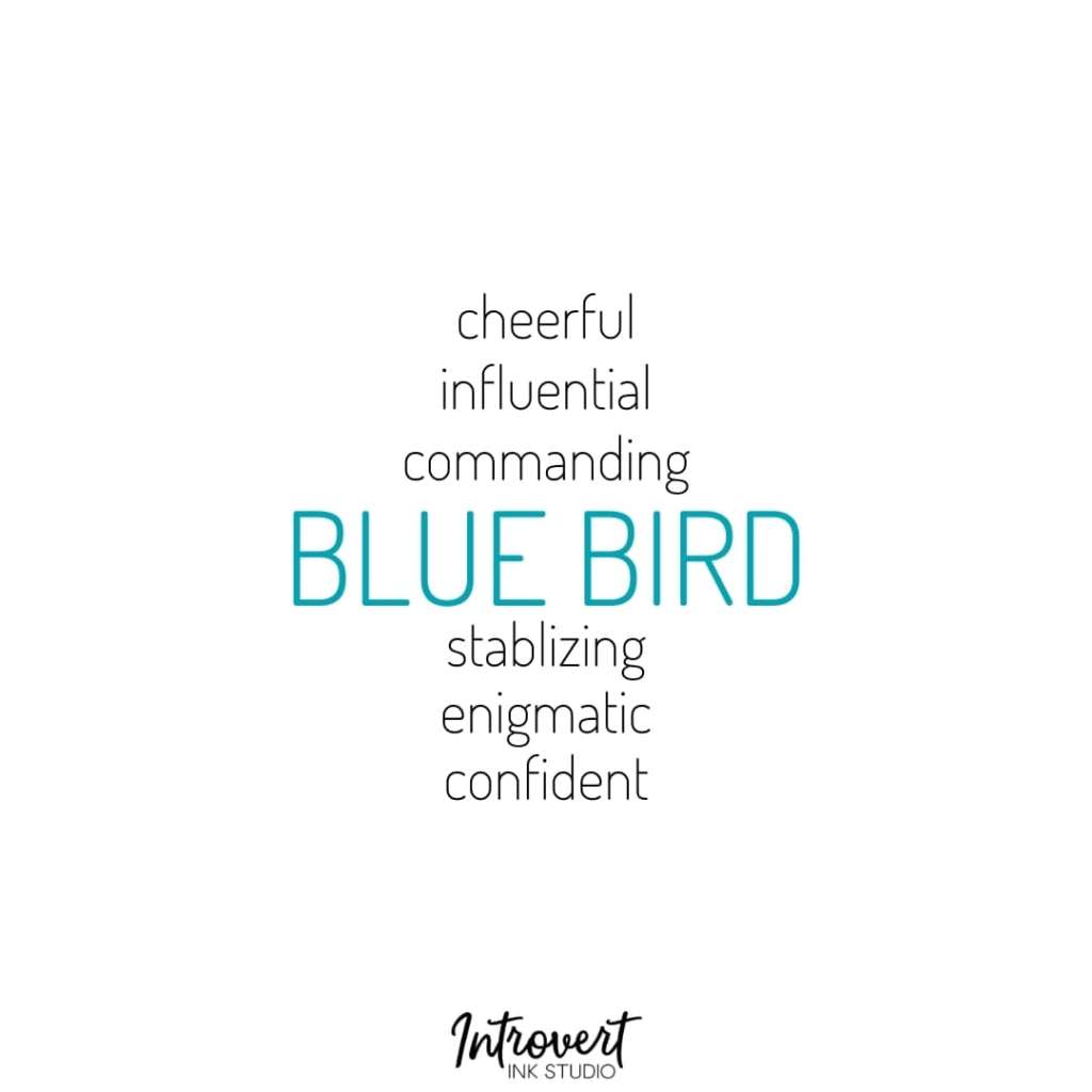 blue bird characteristics