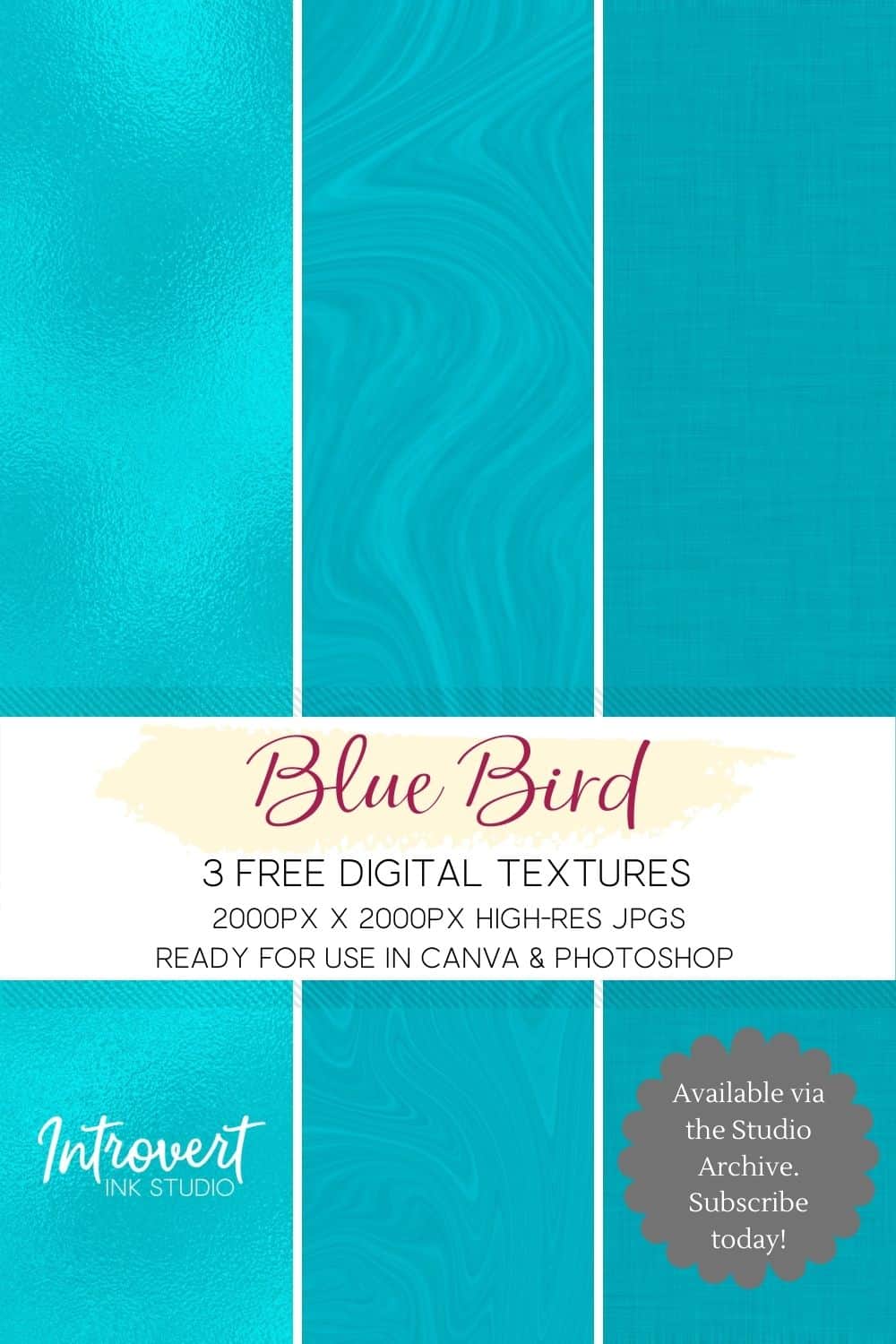 textures blue bird